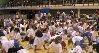 scsu61